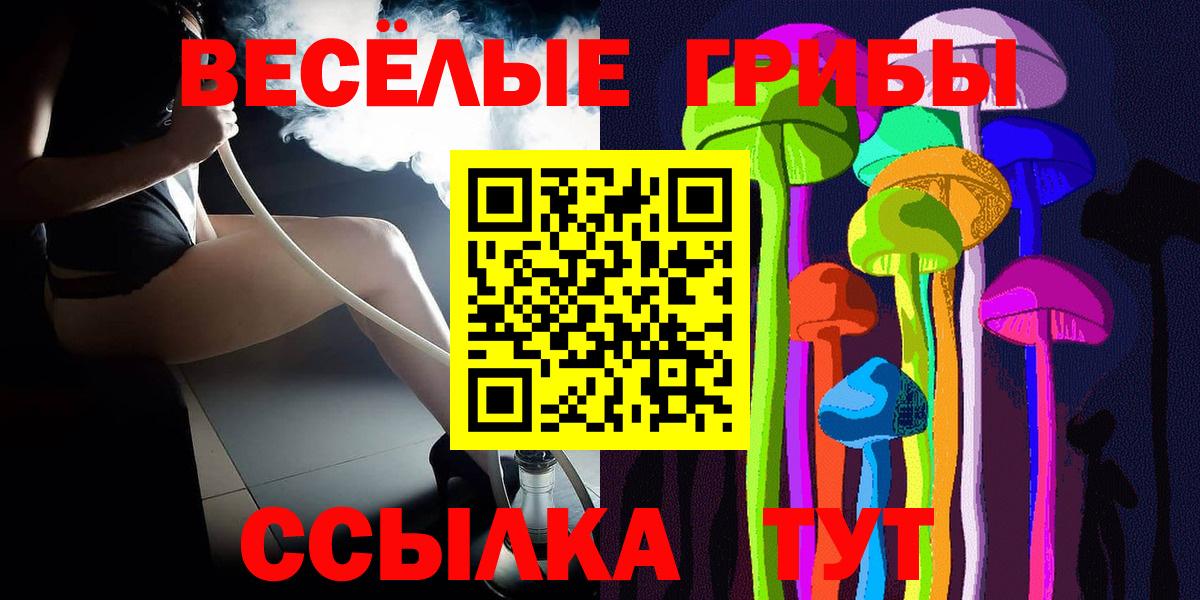 Лениногорск  Галлюциногенные грибы Cubensis  Вход с VPN 