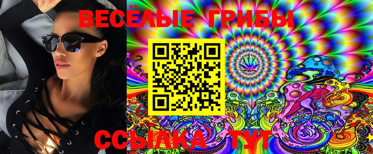 Галлюциногенные грибы GOLDEN TEACHER Лениногорск